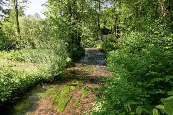 Foto van Ruim verblijf met terras - Vakantiehuis in Waimes - AreaSummer20KM