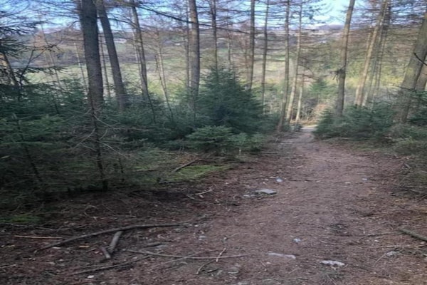 Foto van Boerderijretraite in Baugnez - Vakantiehuis in Malmedy-Baugnez - AreaSummer20KM