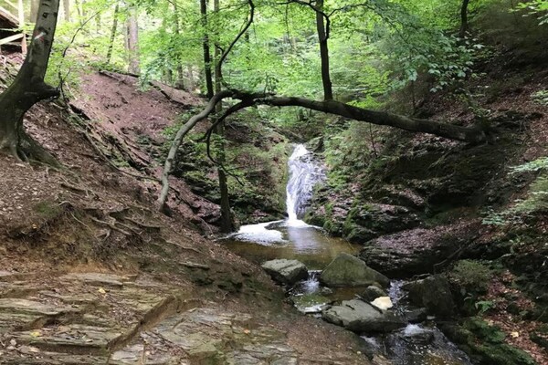Foto van Gezellige natuurontsnapping, Stoumont - Vakantiehuis in Stoumont - AreaSummer20KM