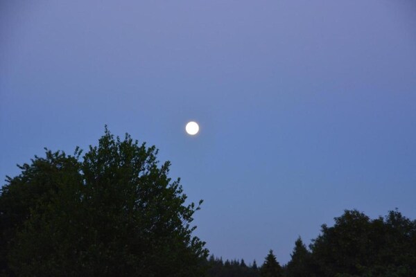 Foto van Charmant huisje in Stoumont - Vakantiehuis in Stoumont - AreaSummer20KM