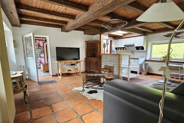 Foto van Boerderij in België met groene tuin - Vakantiehuis in Hastière-Lavaux - LivingRoom