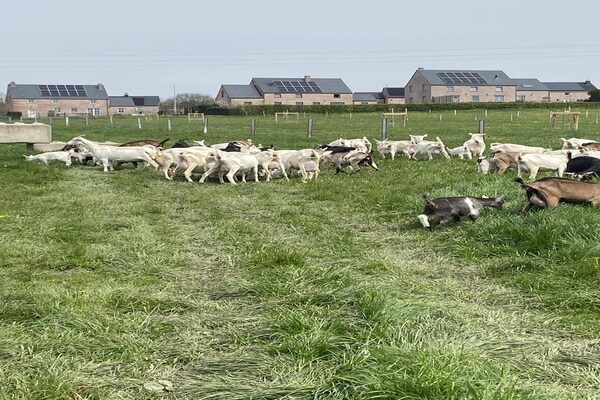 Foto van Vakantiehuis in Vodelée bij Lacs de l'Eau d'Heure - Facilities