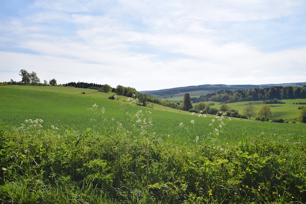 Foto van Gîte in de groene gemeente Sainte-Ode, in het hart van de Ardennen - AreaSummer20KM
