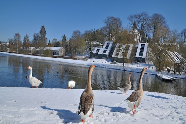 Foto van Vakantiehuis in Vielsalm met Uitzicht op Meer - Vakantiehuis in Vielsalm - AreaWinter1KM