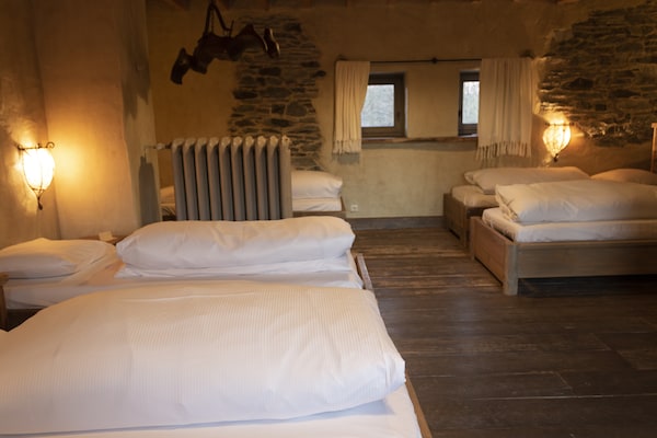 Foto van Vielsalm Verblijf met harige vrienden - Vakantiehuis in Vielsalm - BedRoom