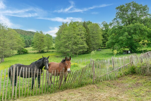 Foto van Gezellig huis met tuin, Ennal - Vakantiehuis in Vielsalm - AreaSummer1KM
