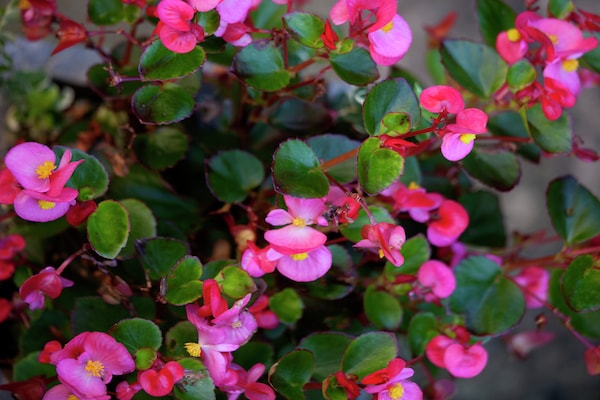 Foto van Een goed ingerichte en comfortabele gîte - Vakantiehuis in Roy - Ambiance