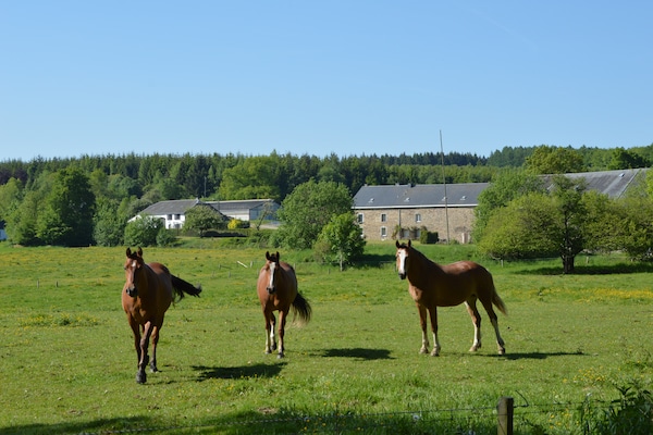 Foto van Vakantiehuis in Ardennen met Wellness - Vakantiehuis in Marche - AreaSummer5KM