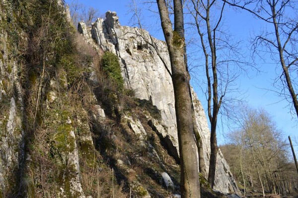 Foto van Chalet in Wéris bij Durbuy-bossen - Vakantiehuis in Wéris - AreaSummer20KM