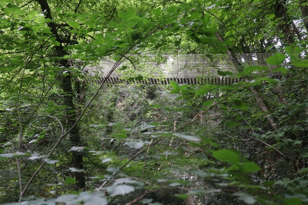 Foto van Gezellig Ardennen Chalet nabij Durbuy - Vakantiehuis in Durbuy - AreaSummer5KM