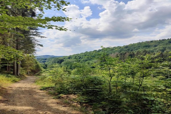 Foto van Luxe zonnetent in Dochamps - Vakantiehuis in Dochamps - AreaSummer5KM