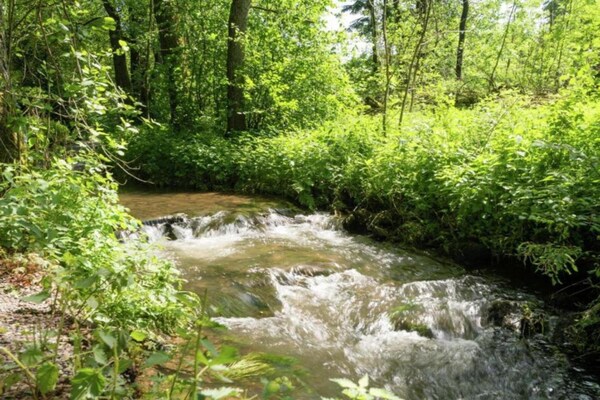 Foto van Luxe zonnetent in Dochamps - Vakantiehuis in Dochamps - AreaSummer5KM