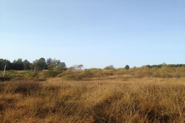 Foto van Luxe zonnetent in Dochamps - Vakantiehuis in Dochamps - AreaSummer5KM