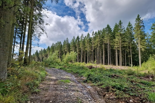 Foto van Luxe zonnetent in Dochamps - Vakantiehuis in Dochamps - AreaSummer20KM
