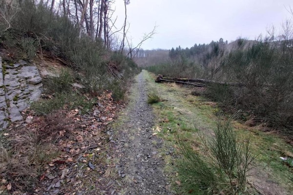 Foto van Lodge in Ardennen bij La Roche Centrum - Vakantiehuis in LA ROCHE EN ARDENNES - AreaSummer20KM