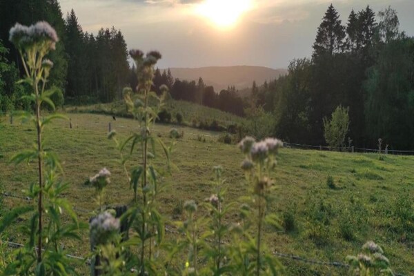 Foto van Charmante villa - fantastische locatie - Vakantiehuis in Érezée - AreaSummer20KM