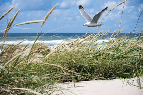 Foto van Appartement in Duinbergen met Zeezicht - Vakantiehuis in KNOKKE-HEIST - AreaSummer1KM