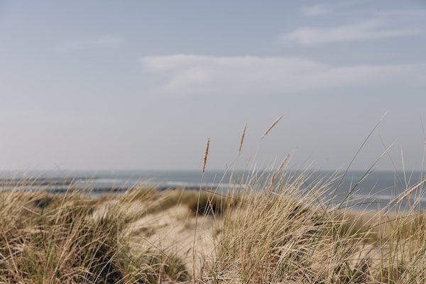 Foto van Villa in Breeduyn met tuin - Vakantiehuis in Bredene - AreaSummer5KM