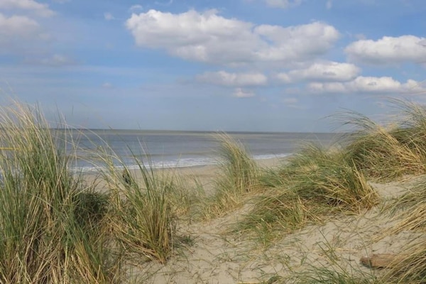 Foto van Lodge in Breeduyn met Tuin en Terras - Vakantiehuis in Bredene - AreaSummer20KM