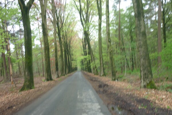 Foto van Landhuis in Kruiskerke bij bos en meer - Vakantiehuis in Kruiskerke - AreaSummer5KM