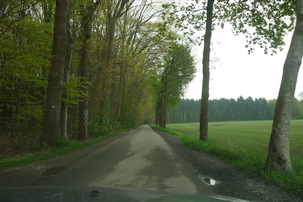 Foto van Landhuis in Kruiskerke bij bos en meer - Vakantiehuis in Kruiskerke - AreaWinter5KM