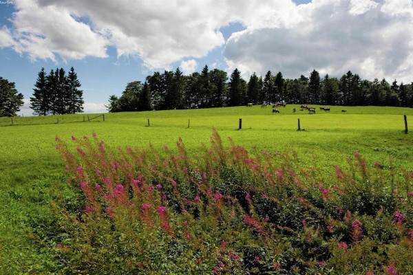 Foto van Appartement vlakbij de skilift. - Vakantiehuis in La Tzoumaz - AreaSummer20KM