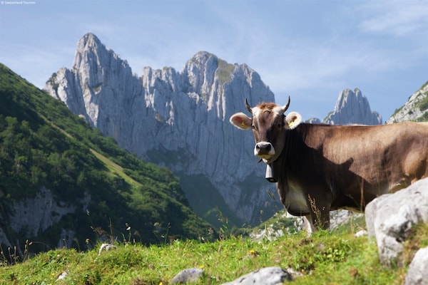 Foto van Appartement vlakbij de skilift. - Vakantiehuis in La Tzoumaz - AreaSummer20KM
