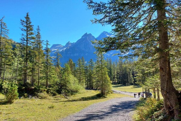 Foto van Natuurontsnapping in de Kandervallei - Vakantiehuis in Kandergrund - AreaSummer20KM