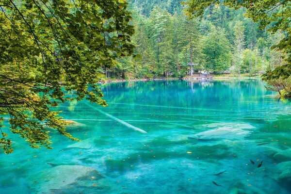 Foto van Natuurontsnapping in de Kandervallei - Vakantiehuis in Kandergrund - AreaSummer20KM