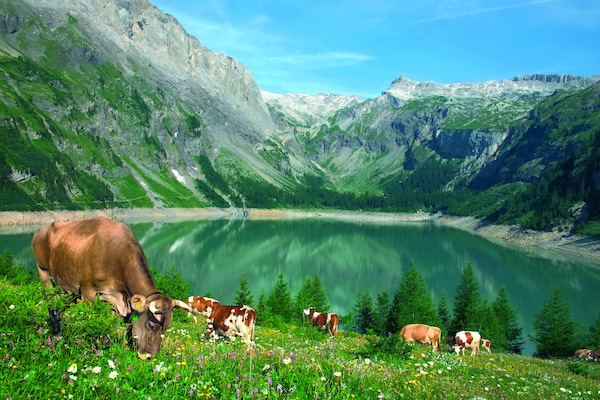 Foto van Boutique appartement in Wallis met balkon - Vakantiehuis in Guttet-Feschel - AreaSummer20KM