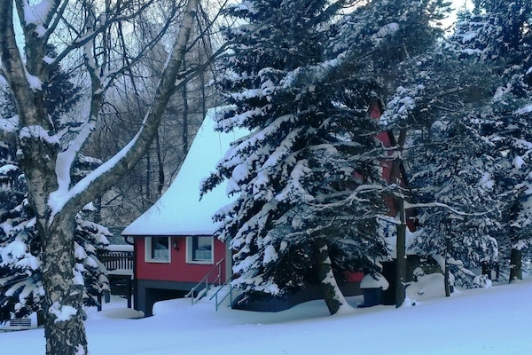 Foto van Huis in Bohemen bij Skibaan - Vakantiehuis in Mezihoří - ExteriorWinter