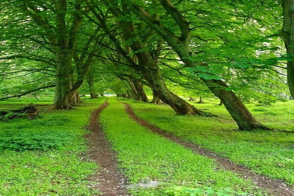 Foto van Ferienwohnung in Wismar im Stadtzentrum - Vakantiehuis in Wismar - AreaSummer20KM
