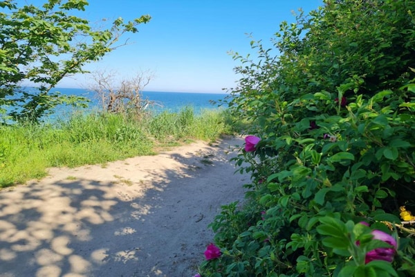 Foto van Vakantiehuis in Rerik met tuin - Vakantiehuis in Rerik - AreaSummer5KM
