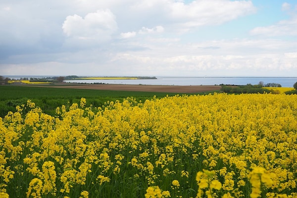Foto van Bungalow in Klein Strצmkendorf - Vakantiehuis in Klein Strömkendorf - AreaSummer5KM
