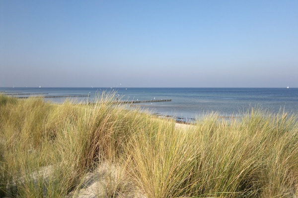 Foto van Bungalow met tuin op het eiland Poel - Vakantiehuis in Insel Poel - AreaSummer5KM