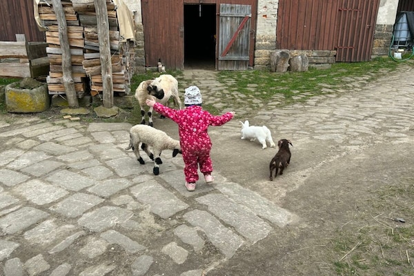 Foto van Boerderij - Schoena - Vakantiehuis in Schöna - Untagged