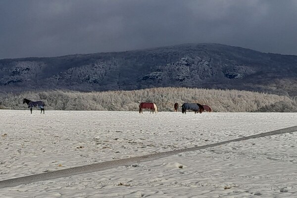 Foto van Boerderij - Schoena - Vakantiehuis in Schöna - Untagged