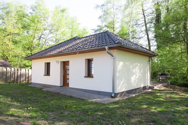 Foto van B4 rechtstreeks naar het Netzenmeer. - Vakantiehuis in Kloster Lehnin OT Trechwitz Siedling - Untagged