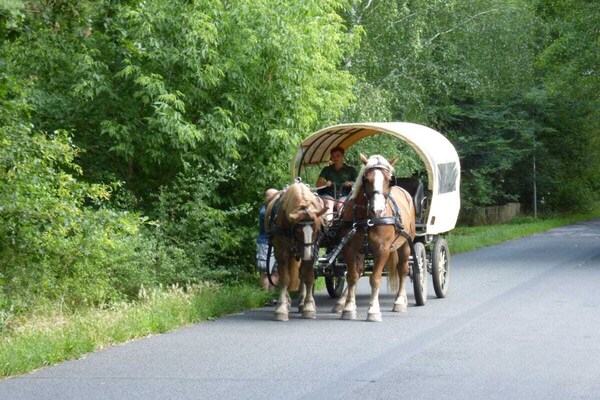 Foto van B 1 rechtstreeks naar het Netzenmeer - Vakantiehuis in Kloster Lehnin - Untagged