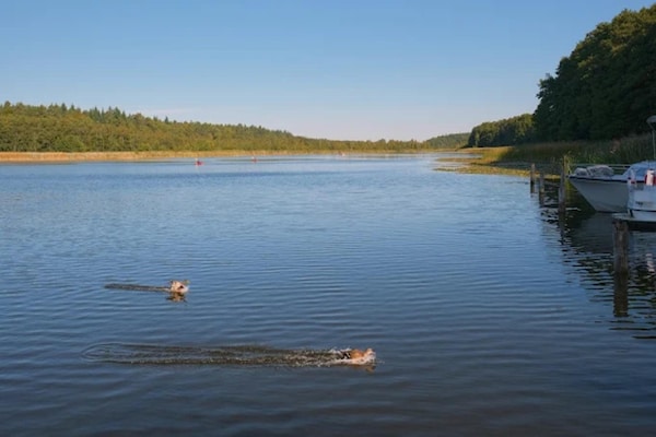 Foto van Vakantiehuis in Scandinavische stijl - Vakantiehuis in Granzow - AreaSummer1KM