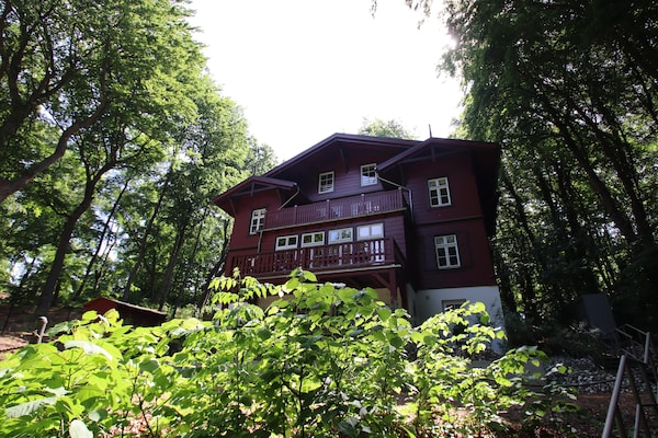 Foto van XXL vakantiehuis in Heringsdorf - Vakantiehuis in Heringsdorf - ExteriorSummer