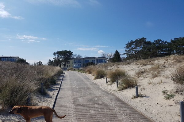 Foto van Beach Oasis Appartement 14 - Vakantiehuis in Ostseebad Heringsdorf - Untagged
