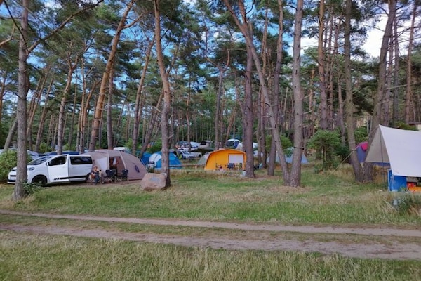 Foto van Vakantieappartement aan de Achterwasser in Lütow - Vakantiehuis in Lütow - ViewSummer