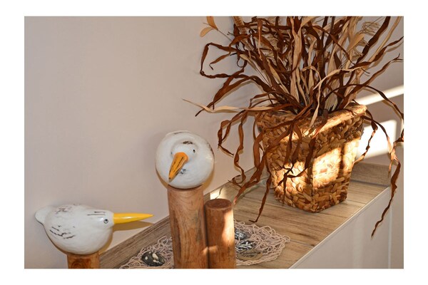 Foto van Bella Casa 36 - Mones - Vakantiehuis in Juliusruh - Untagged