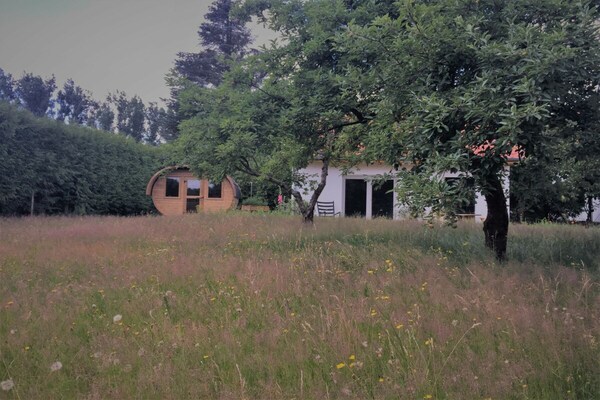 Foto van Boskop & Clapps - Vakantiehuis in Crivitz - Untagged