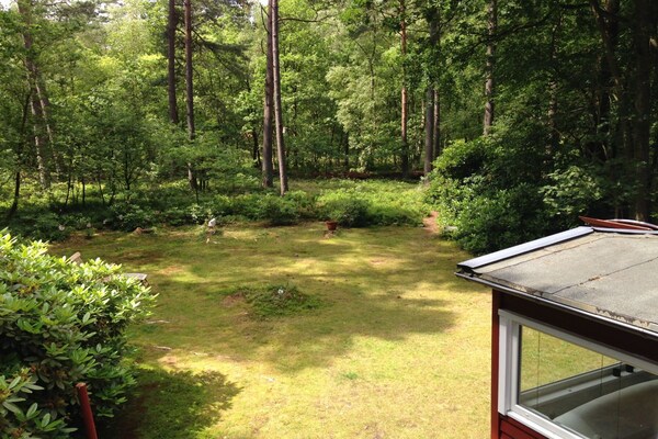 Foto van Bungalow in Nordheide met 1 slaapkamer - Vakantiehuis in Buchholz in der Nordheide - Untagged