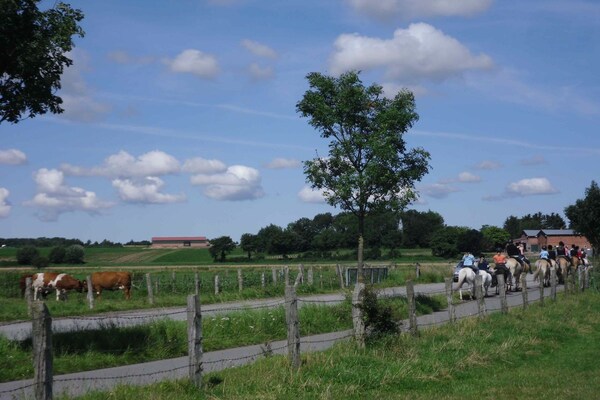 Foto van Blankwasserweg 49 - Vakantiehuis in Grömitz - Untagged