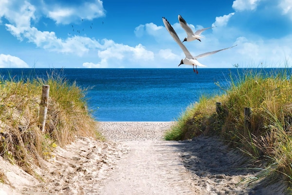 Foto van Baltic Nature Lodge voor 6 personen - Vakantiehuis in Großenbrode - AreaSummer5KM