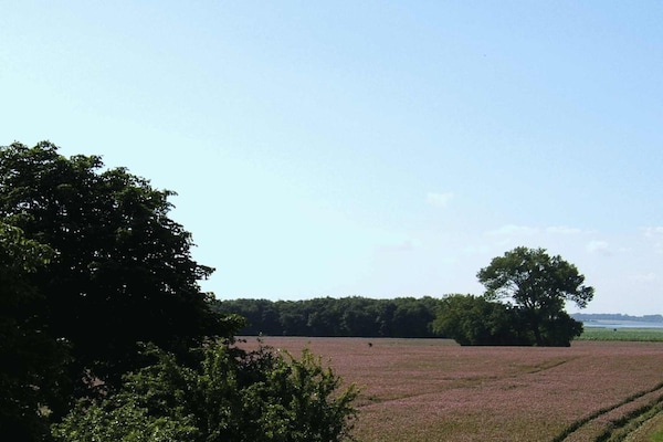 Foto van Breitling Views - Vakantiehuis in Insel Poel - Ortsteil Gollwitz - Untagged