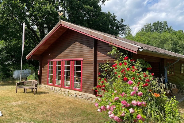 Foto van Bos en strand || Altenhof - Vakantiehuis in Altenhof - Untagged